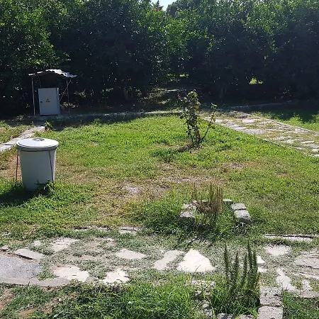 Priene * Сёке