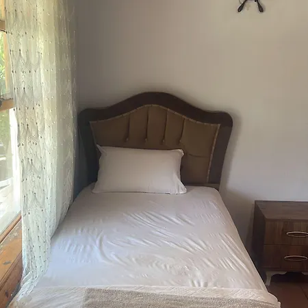 Отель Priene
